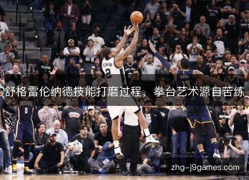 舒格雷伦纳德技能打磨过程，拳台艺术源自苦练